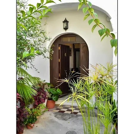 Casa Del Mayorazgo Con Plaza De Parking Privada Vejer de la Frontera